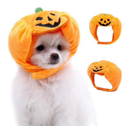 Add Some Fun to Your Pet's Halloween Dress-Up